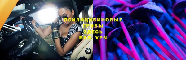 ПСИЛОЦИБИНОВЫЕ ГРИБЫ Беломорск