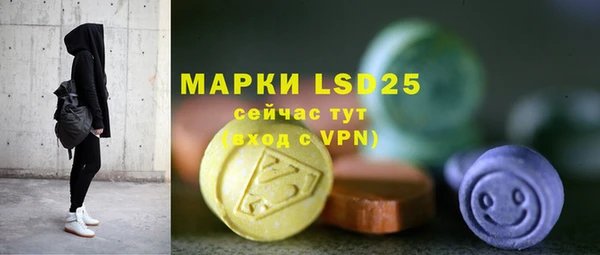 ПСИЛОЦИБИНОВЫЕ ГРИБЫ Беломорск