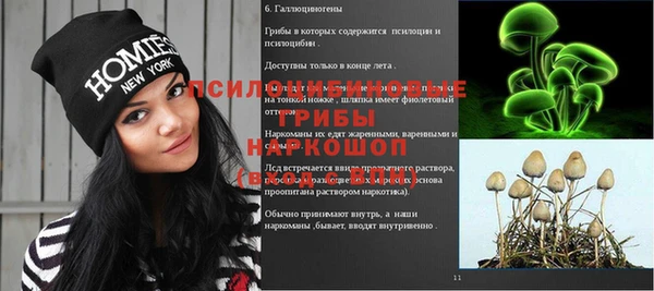альфа пвп Белокуриха