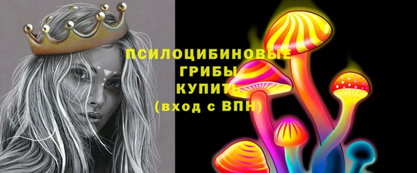 ПСИЛОЦИБИНОВЫЕ ГРИБЫ Беломорск