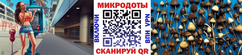 Псилоцибиновые грибы Psilocybe Ленинградская