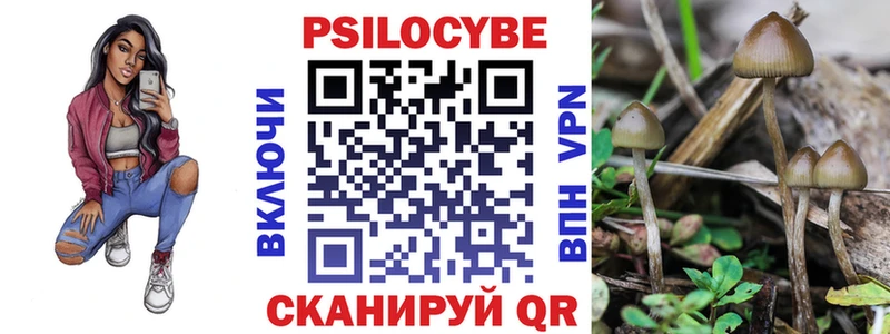 Галлюциногенные грибы Psilocybe  Ленинградская 